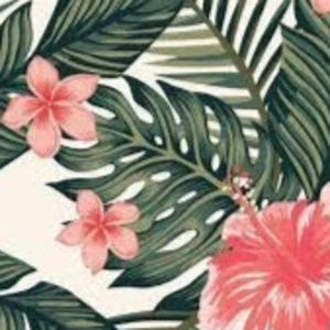 Meet your Posher, Danaeh